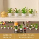 4 Pcs Miniature Bonsai, Mini Plants, Miniature Green Leaf, Miniature Potted Plants for Home Decor Ho