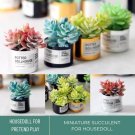 Miniature Succulent, Miniature Flower Vase, Miniature Cactus, Plant Ornament Doll House, Potted Plan