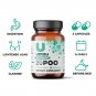 UMZU zuPOO Colon Cleanse & Gut Support Supplement – 30 Capsules Detox