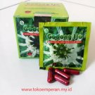 4 Box godong ijo herbs for rheumatsim gout etc