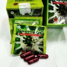 10 Box godong ijo herbs for rheumatsim gout etc