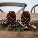 Pine Cone Candle