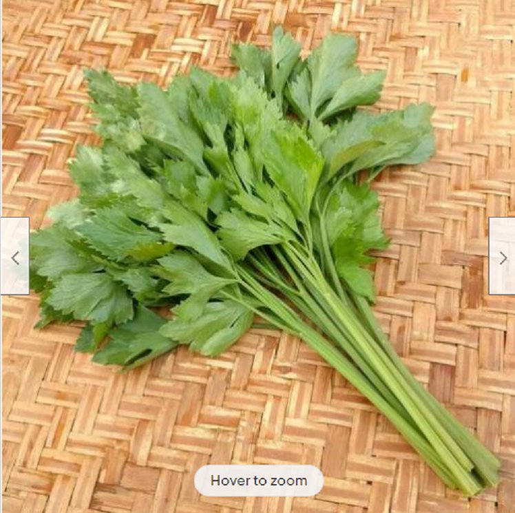 500 Seeds LEAF CELERY Amsterdam HEIRLOOM vegetable COMPACT plant
