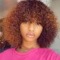 Women's Black African Small Curly Short Curly Hair Wig Long Hair Wig Short Curly Hair