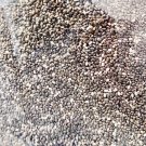 Natural Chia Seeds-1 Kg