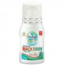 2X Amrutanjan Advanced Back Pain Roll On 50 ml