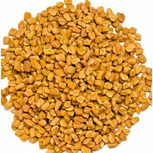 Indian Organic Fenugreek Seed Whole Methi Dana