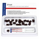 PREVEST DENPRO ZICAL Antibacterial ZOE Root Canal Sealant Automix dual cartridge