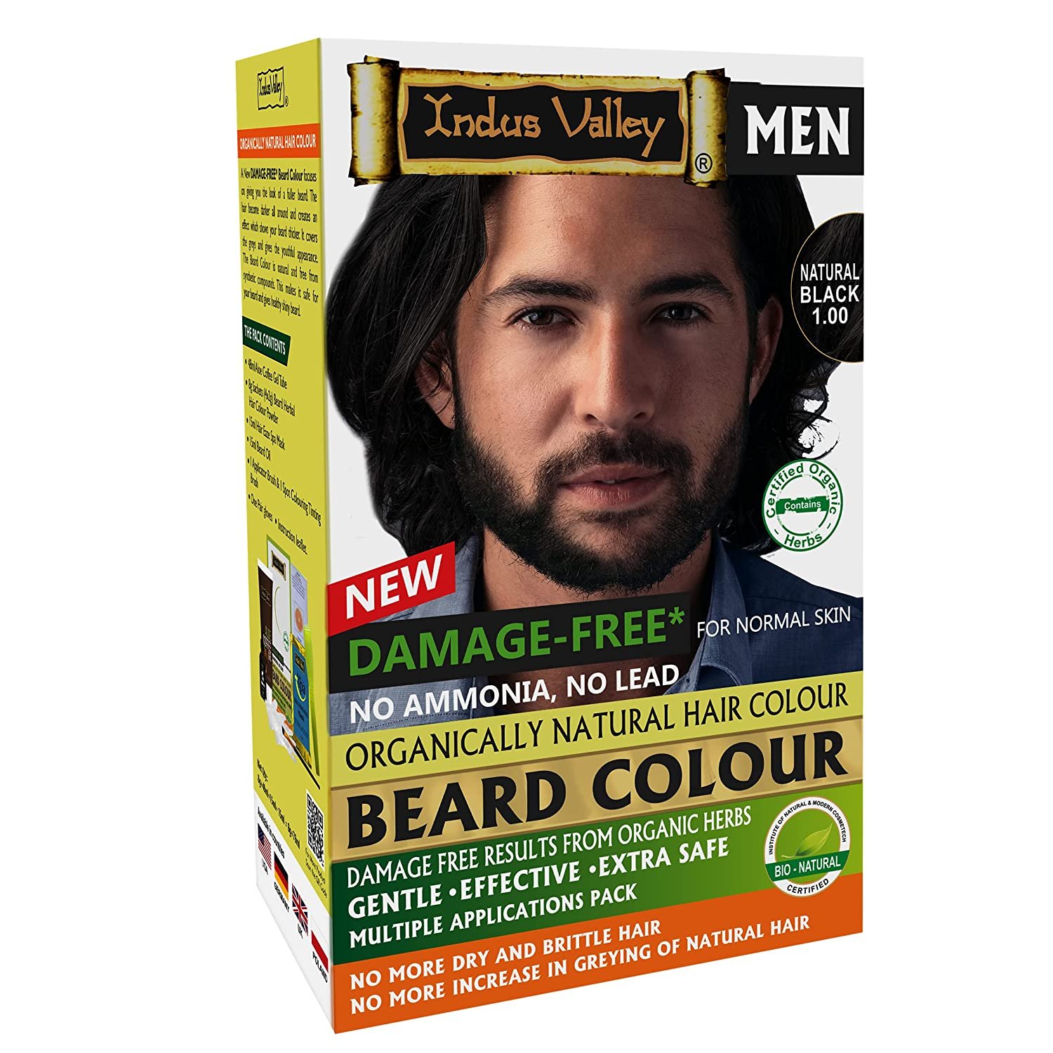 INDUS VALLEY Natural Damage Free Beard Hair Color ,Black (100g)