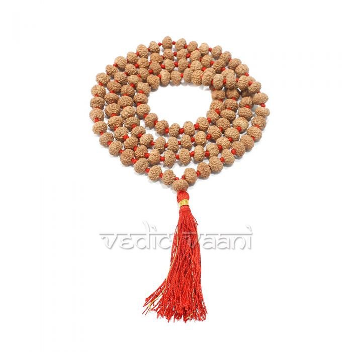 Nine Mukhi Rudraksha Mala - Java with Certificate Buy Online in USA/UK/Europe
