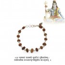 Shive Shakti Rudra Sadhana Sacred Siddh Braclet with Certificate Buy Online in USA/UK/Europe