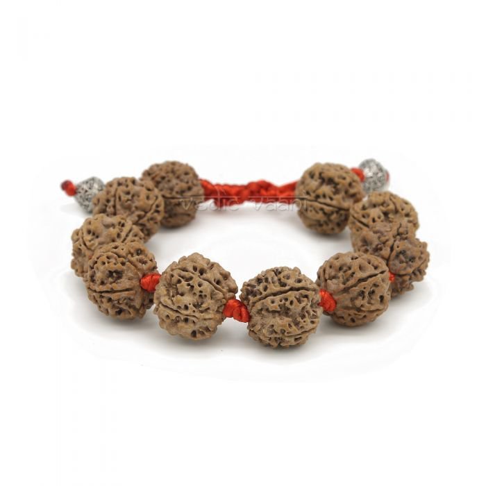5 Face (Mukhi) Nepal Rudraksha Bracelet - Adjustable Buy Online in USA/UK/Europe