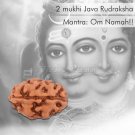 2 mukhi Java Rudraksha Buy Online in USA/UK/Europe