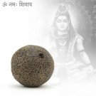 Rudraksha Sacred Fruit-Tears of Lord Shiva Shivalingum, Worship Online Store in USA/UK/Europe