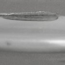 19 13/16 ligne watch crystal -minute edge chip