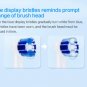 Replaceable Brush Heads EB20 Precision Oral B Clean 2 Or 4 Heads Gum Care Daily Dental SKU135