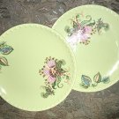 MWW Market Plates Floral Impressions Green Farm House Chic Cottage RARE Pattern