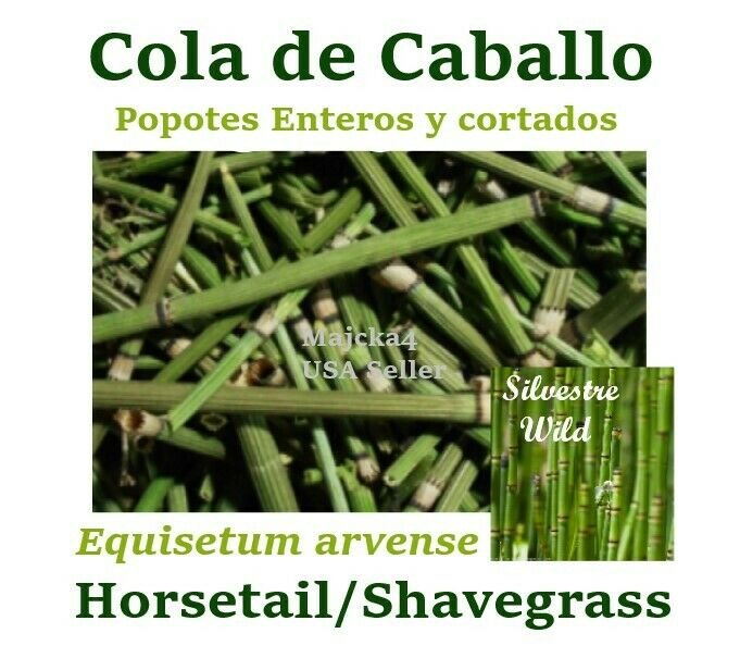 COLA DE CABALLO 1 LIBRA ENTERO Hierbas HORSETAIL SHAVEGRASS 1LB Herbs