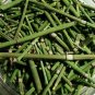 COLA DE CABALLO 1 LIBRA ENTERO Hierbas HORSETAIL SHAVEGRASS 1LB Herbs