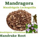 Mandragora Mandragula 2 oz Mandrake root Mandrágora officinarum Devils Apple