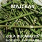 COLA DE CABALLO 3 LIBRAS Hierbas HORSETAIL SHAVEGRASS Herb 3 LBS