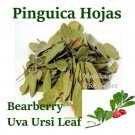Pinguica hoja 6 oz. Hierbas Mexicanas Uva Ursi BearBerry Mexican Herbs Rinosano