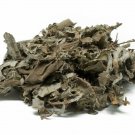 Guarumo Hierba Te guarumbo Cecropia peltata 2 oz