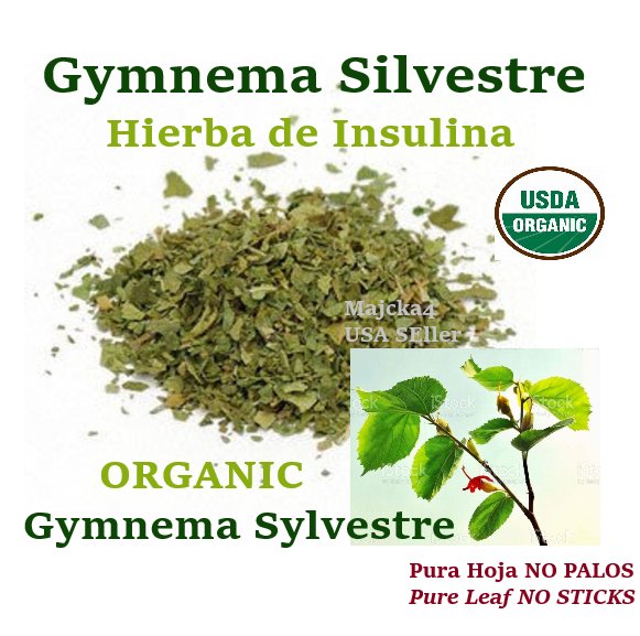 Hierba Insulina ORGANIC PURA HOJA NO PALOS Gymnema Silvestre gymnema sylvestre