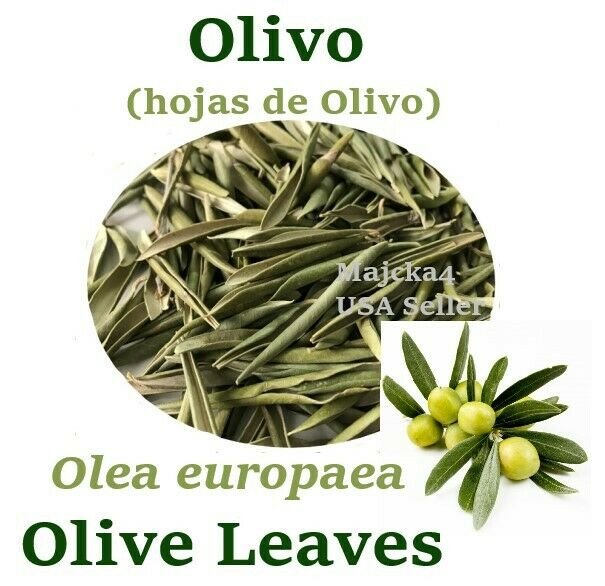 OLIVO Hojas de Olivo 4 oz TE Hierbas OLIVE Leaves 4 oz Herbs Olea europaea