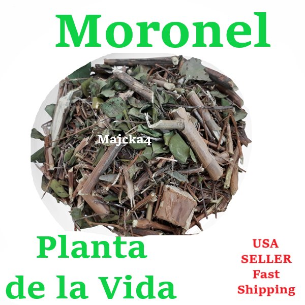 Moronel Planta de la vida 1 oz Moronel