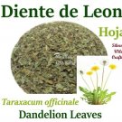 DIENTE DE LEON  hoja 4 oz Taraxacum officinale DANDELION Leaves 4 oz Herbs