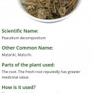 Matarique 3 oz Hierbas de Mexico Psacalium decompositum  Mexican Herbs