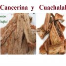 1 Cancerina y 1 Cuachalalate Mexican Herbs  Hierbas Mexicanas