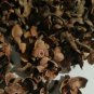 Te de Tila flor Estrella 6 BOLSAS 4oz Tilo hierbas nervios relajar Linden Star