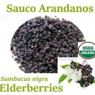 SAUCO FRUTA FRUTO Organico 2 oz Hierbas Elderberry FRUIT Organic herbs