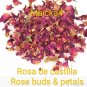 Rosa de castilla Rosa de Castillo 3oz 6 BOLSAS Rose Buds petal Rosa centifolia