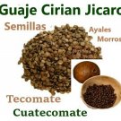 Guaje Cirian Cuatecomate Ayales Jicaro SEMILLAS 3 LBS Vias Respiratorias