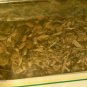 Gastrosan Herb combination for digestive  system hierbas mexicanas tea 3 oz