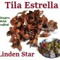 Tila flor Estrella Te de Tilo 3 LBS Trompo hierbas nervios relajar Linden Star