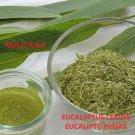 EUCALIPTO hojas3 oz  EUCALYPTUS leaves Herbs tea 3 oz
