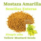 MOSTAZA AMARILLA entera 4 oz Hierbas Yellow MUSTARD SEEDS Sinapis alba herbs