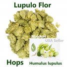 Lupulo 1/2 oz valeriana Hierbas Mexicanas Hops flower Humulus lupulus 1/2 oz