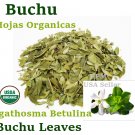 BUCHU HOJAS ORGANICO 3oz Hierbas BUCHU LEAVES Agathosma betulina Herbs ORGANIC