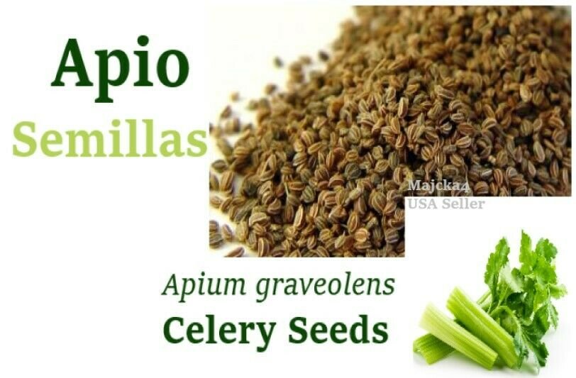 Semillas de APIO 6 Bolsas HierbasCELERY seeds Apium graveolen 6 Bags Herbs