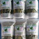 Hojas de Guanabana 12 bolsas GRANDES precio MAYOREO Organic guanabana leaf big