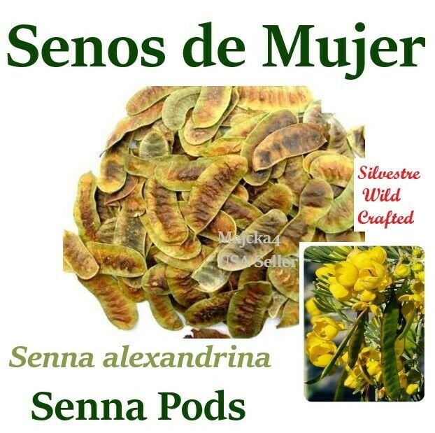 SENOS de MUJER &Acirc;&frac12; oz  6 BOLSAS Hierbas Senna Pods &Acirc;&frac12; oz 6 BAGS Senna alexandrina