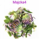 Trebol morado ORGANICO Hierbas Organic Red clover tops 2 oz  Herbal teas