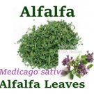 Alfalfa hojas 4 oz 6 BOLSAS Medicago sativa Hierbas Alfalfa Leaves 4 oz Herbs