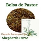 Bolsa de Pastor 4 oz 6 BOLSAS Capsella bursa-pastoris Shepherd Purse Herbs 6 BAG