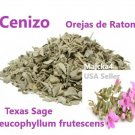 CENIZO Orejas de Raton Hierbas Leucophyllum frutescens 1/2  oz  Herbal teas
